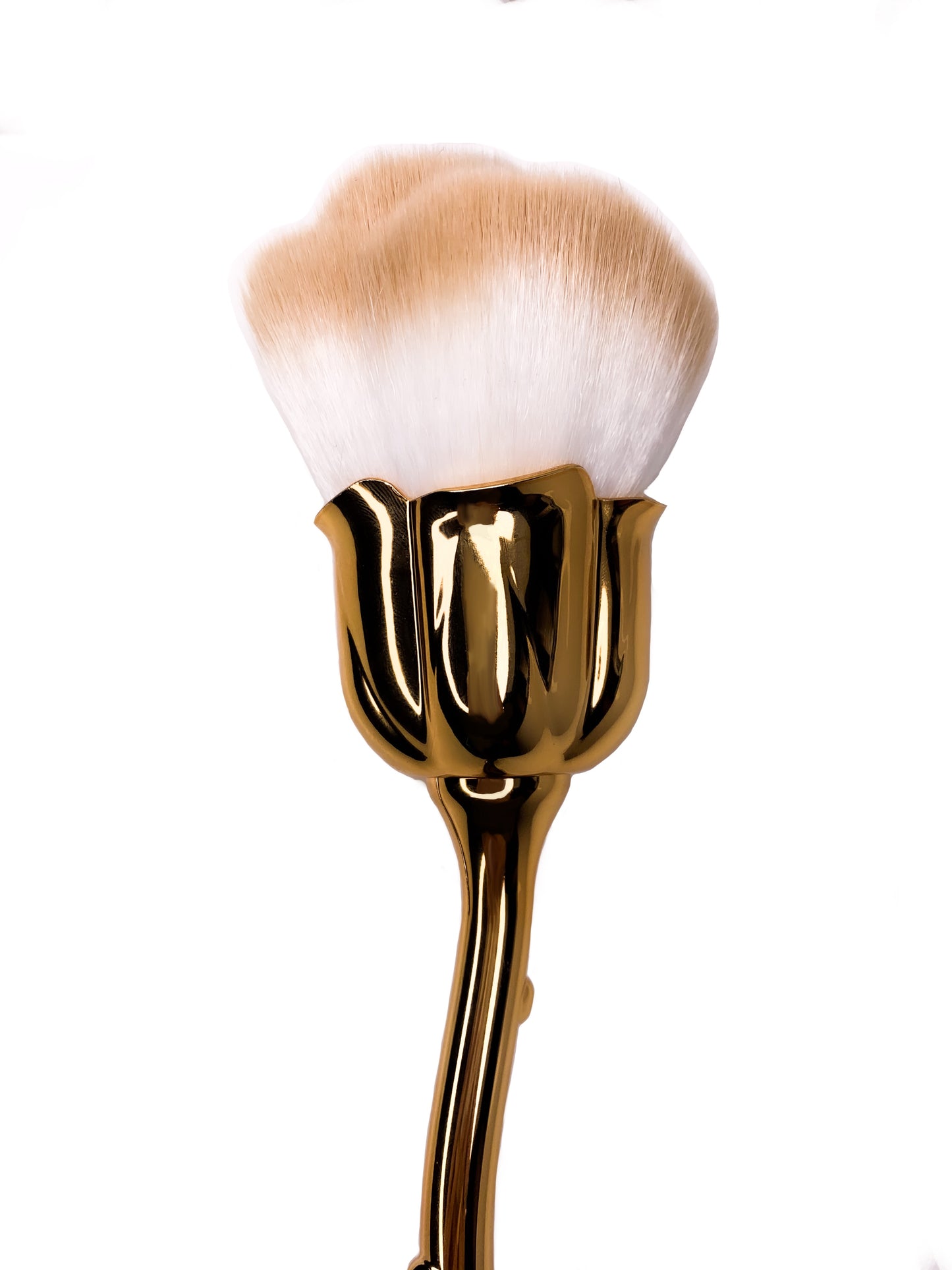 Rose Brushes