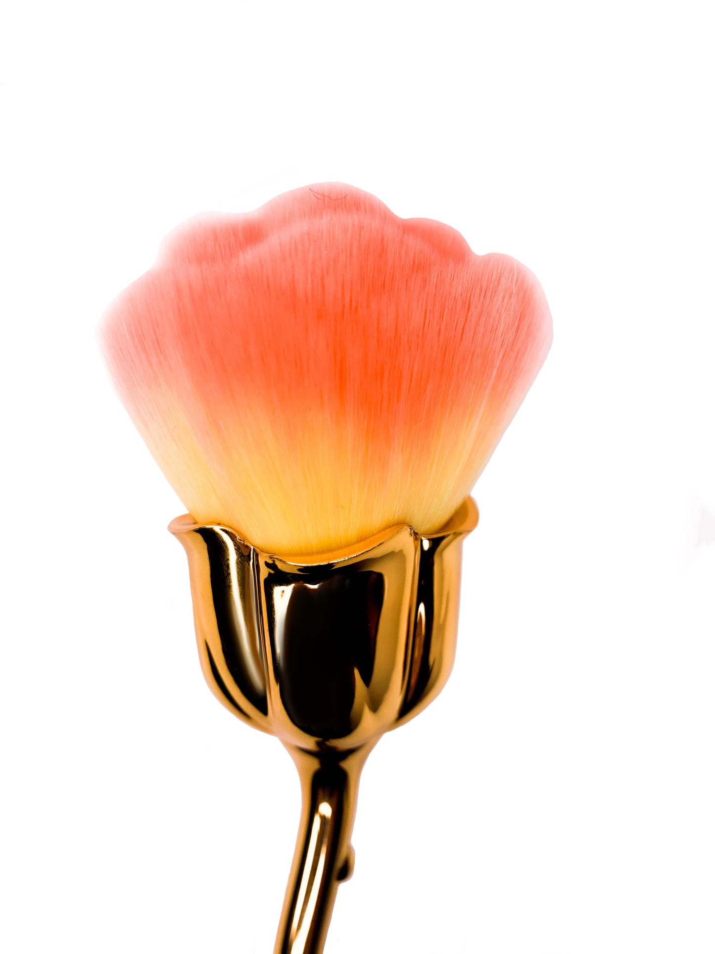 Rose Brushes