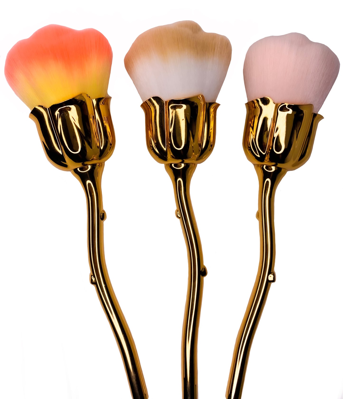 Rose Brushes